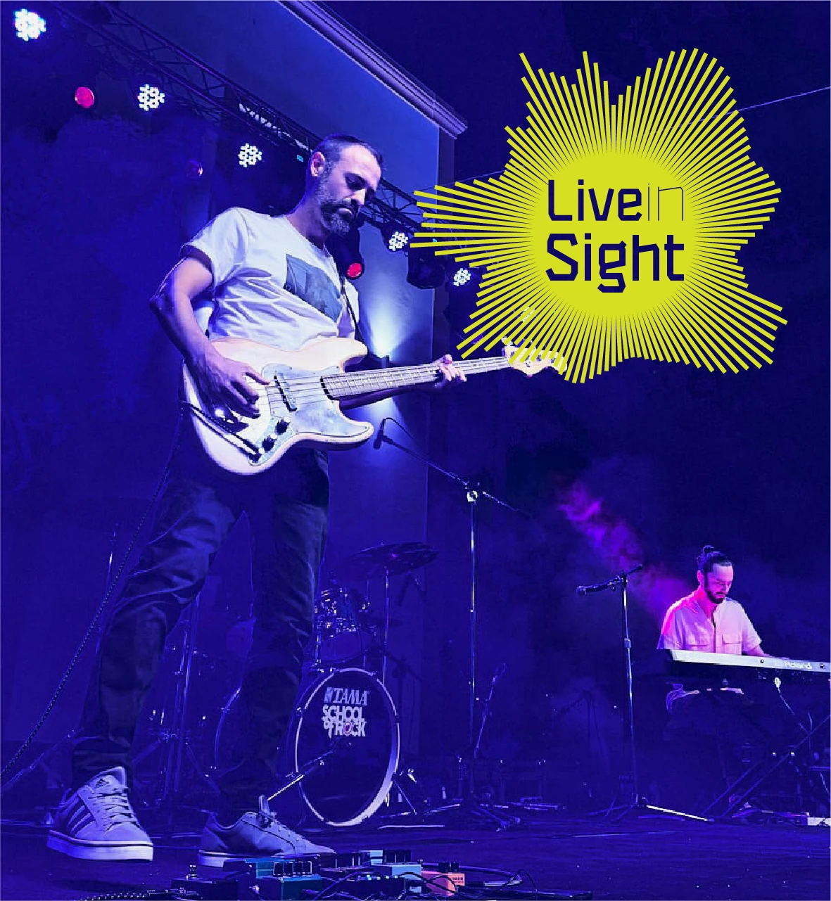 Live Insight com Um Dia Destes